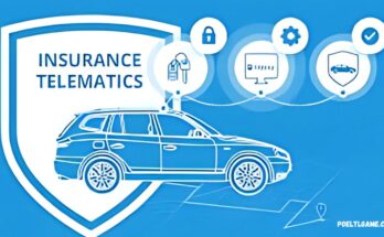 Usage-Based Insurance and Telematics